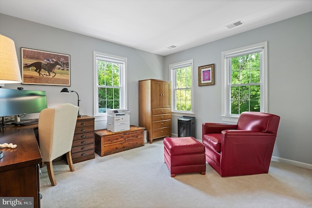 9020 Old Dominion Dr, Mclean, VA 22102 - office with carpet flooring