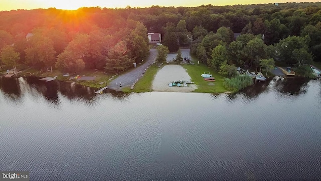 7572 Eagle Rock Dr, Tobyhanna, PA 18466 - aerial view at dusk of a water view and a view of trees