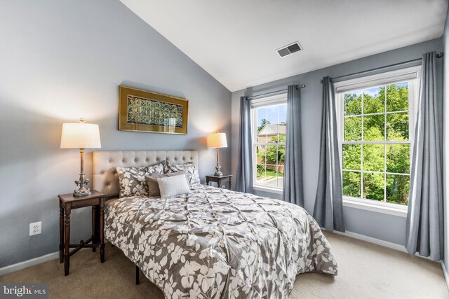6249 Auburn Leaf Ln, Alexandria, VA 22312 - carpeted bedroom featuring baseboards and lofted ceiling