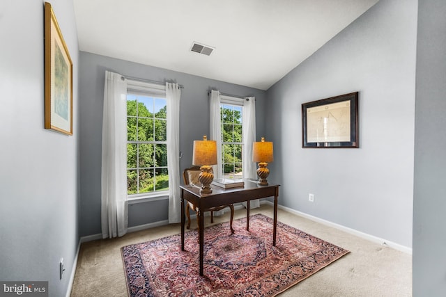 6249 Auburn Leaf Ln, Alexandria, VA 22312 - carpeted office space with vaulted ceiling and baseboards