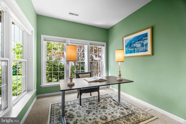 6249 Auburn Leaf Ln, Alexandria, VA 22312 - office featuring carpet flooring and baseboards