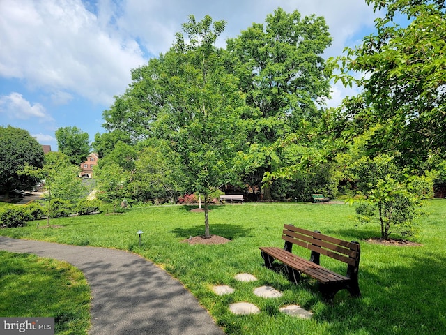 6358 Brampton Ct, Alexandria, VA 22304 - view of property's community featuring a lawn