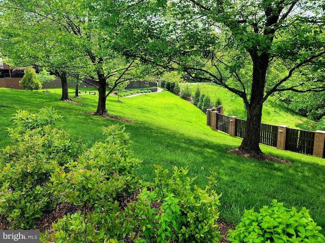 6358 Brampton Ct, Alexandria, VA 22304 - view of yard