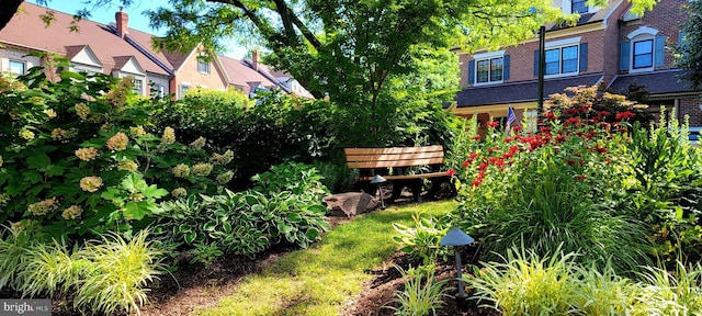 6358 Brampton Ct, Alexandria, VA 22304 - view of yard