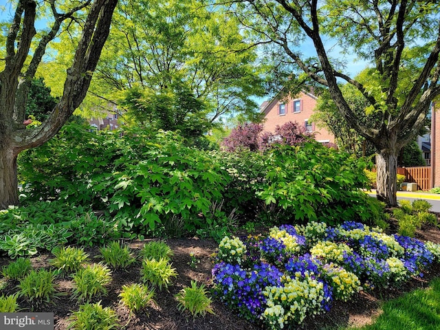 6358 Brampton Ct, Alexandria, VA 22304 - view of yard