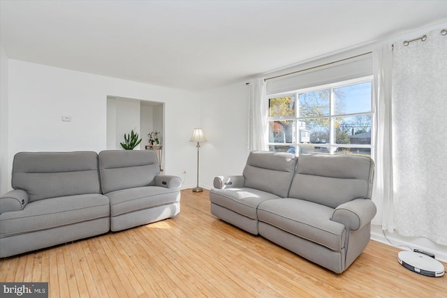 6009 Shady Spring Ave, Rosedale, MD 21237 - living room featuring wood-type flooring