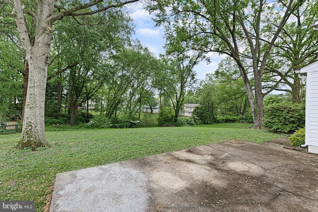 207 Wilshire Ln, Newark, DE 19711 - view of green lawn with a patio
