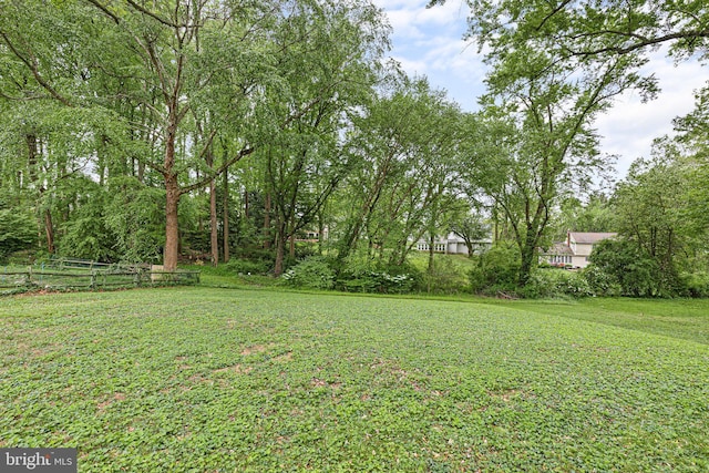 207 Wilshire Ln, Newark, DE 19711 - view of yard