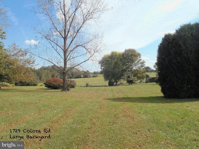 1729 Colora Rd, Colora, MD 21917 - view of grassy yard