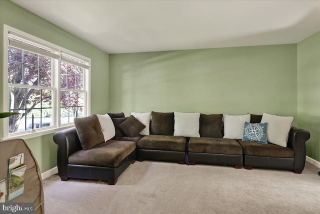 29 Colorado Ave, Sinking Spring, PA 19608 - living room featuring baseboards, carpet, and plenty of natural light