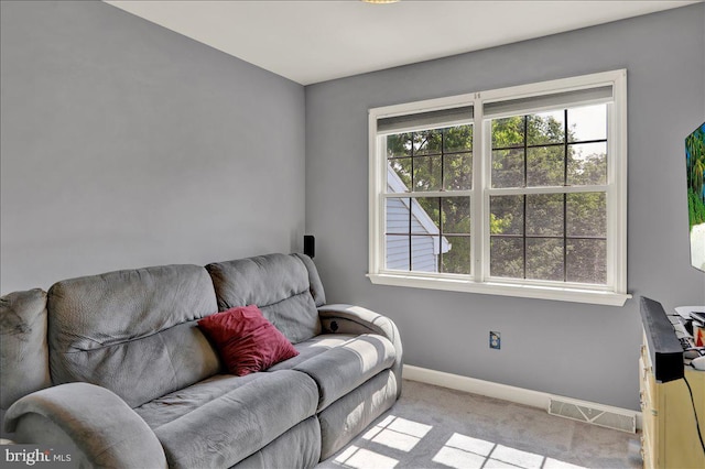 29 Colorado Ave, Sinking Spring, PA 19608 - living area featuring carpet flooring and baseboards