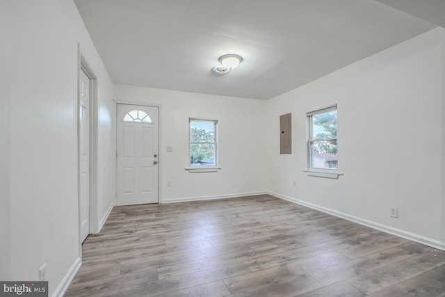 227 Elizabeth Ave, Baltimore, MD 21225 - foyer featuring wood finished floors, electric panel, and baseboards