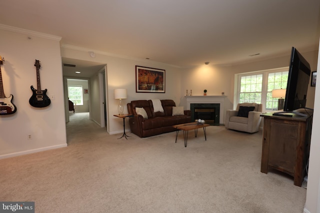 508 Limerick Cir Unit 402, Lutherville Timonium, MD 21093 - living area featuring a glass covered fireplace, ornamental molding, healthy amount of natural light, light carpet, and baseboards