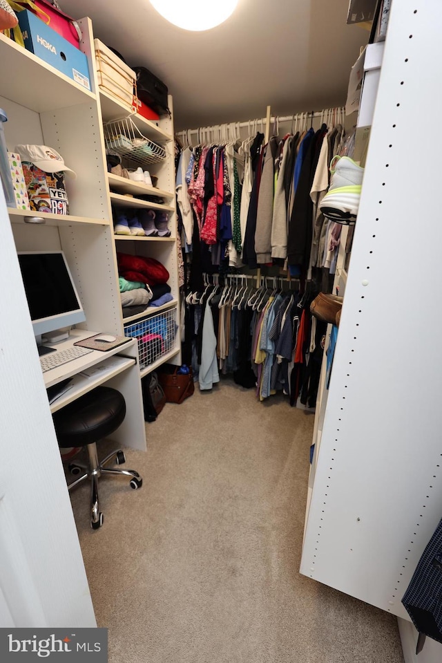 508 Limerick Cir Unit 402, Lutherville Timonium, MD 21093 - spacious closet with carpet floors