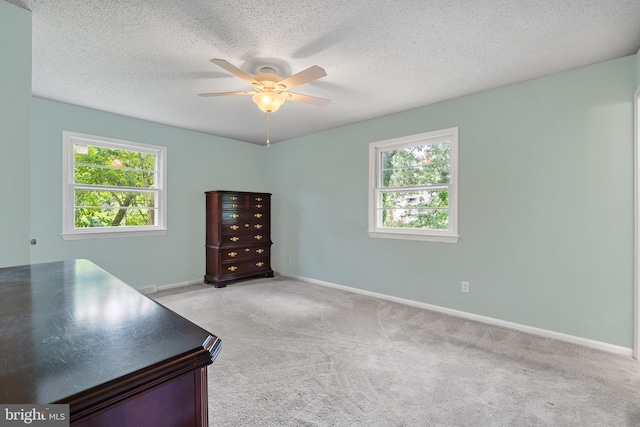 23359 Patuxent View Rd, Lexington Park, MD 20653 - unfurnished office featuring a ceiling fan, healthy amount of natural light, light carpet, baseboards, and a textured ceiling