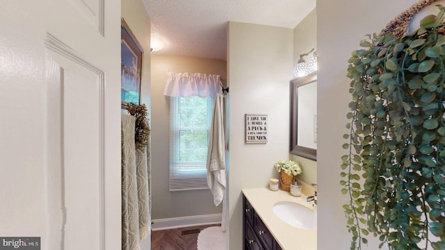 240 Dogwood Dr, Romney, WV 26757 - bathroom with vanity, a textured ceiling, and baseboards