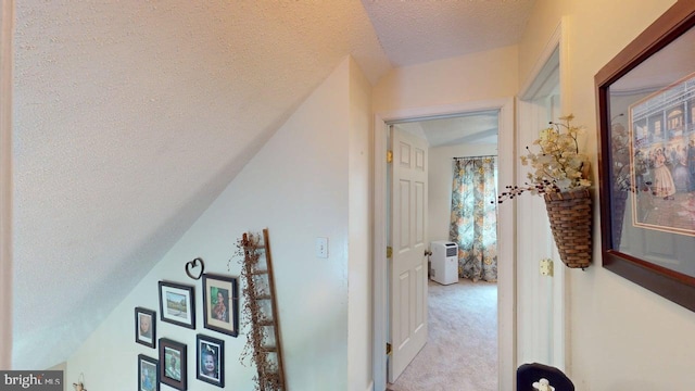 240 Dogwood Dr, Romney, WV 26757 - hall with a textured ceiling, carpet flooring, and vaulted ceiling