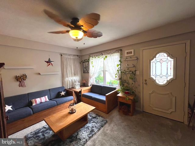 460 Baltimore St, Gettysburg, PA 17325 - living area featuring ceiling fan and carpet floors