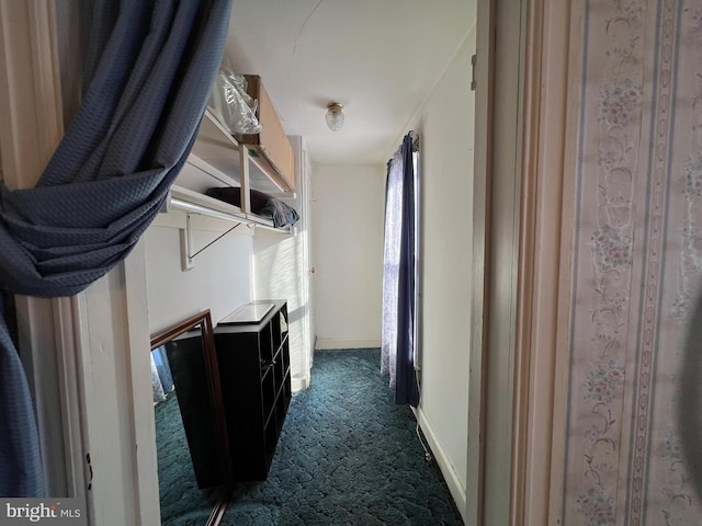 460 Baltimore St, Gettysburg, PA 17325 - spacious closet featuring dark carpet