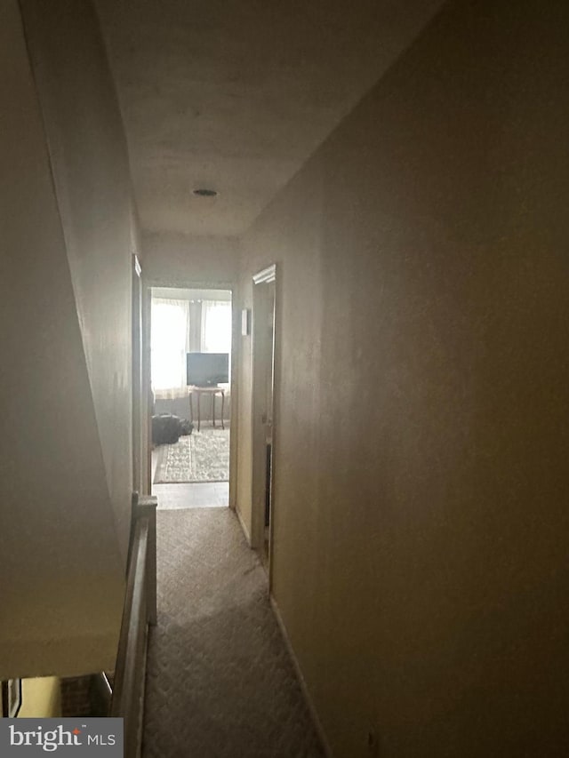 410 Beechwood Ave, Trenton, NJ 08618 - hallway featuring carpet floors