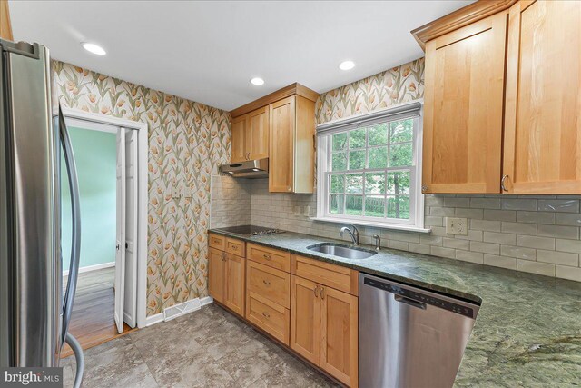 242 Pennwood St, Newark, DE 19713 - kitchen featuring appliances with stainless steel finishes, a sink, wallpapered walls, baseboards, and under cabinet range hood
