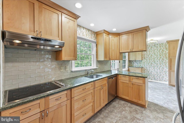 242 Pennwood St, Newark, DE 19713 - kitchen with under cabinet range hood, appliances with stainless steel finishes, a sink, dark stone counters, and wallpapered walls