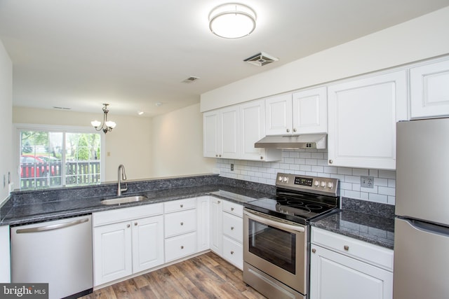 144 Carousel Cir, Doylestown, PA 18901 - kitchen featuring appliances with stainless steel finishes, a sink, under cabinet range hood, and white cabinets