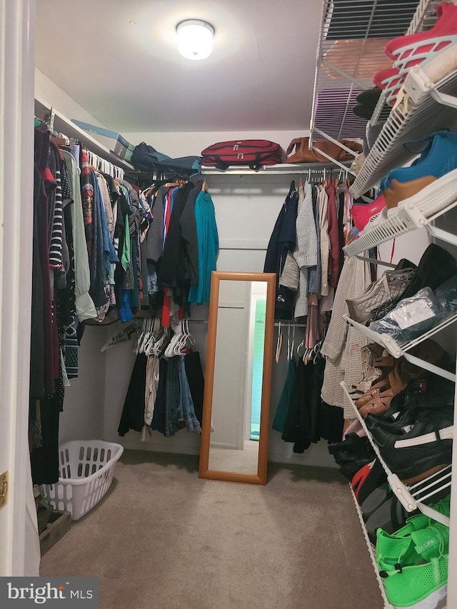 302 Old Lancaster Rd, Devon, PA 19333 - walk in closet with carpet floors