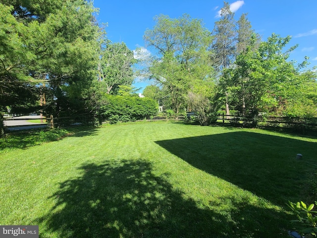 302 Old Lancaster Rd, Devon, PA 19333 - view of yard