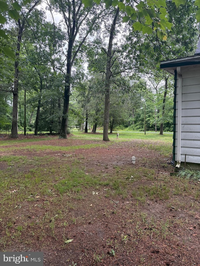 81 Hollering Hill Rd, Camden Wyoming, DE 19934 - view of yard