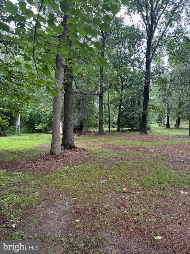 81 Hollering Hill Rd, Camden Wyoming, DE 19934 - view of yard