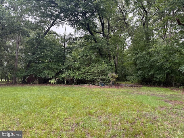81 Hollering Hill Rd, Camden Wyoming, DE 19934 - view of yard with a wooded view