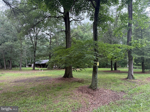 81 Hollering Hill Rd, Camden Wyoming, DE 19934 - view of grassy yard