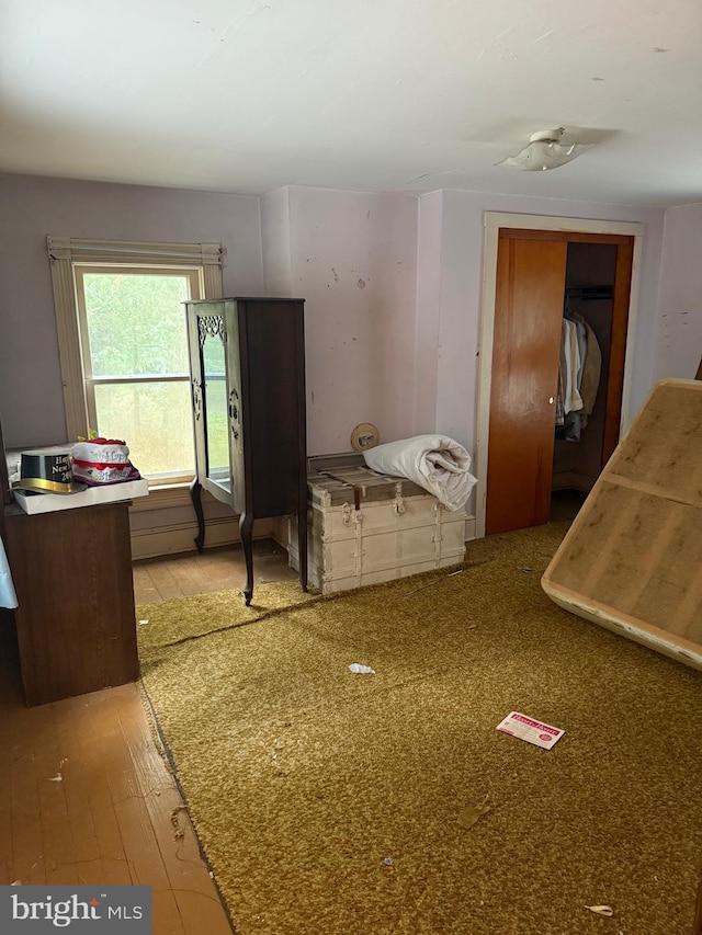 81 Hollering Hill Rd, Camden Wyoming, DE 19934 - kitchen with wood-type flooring