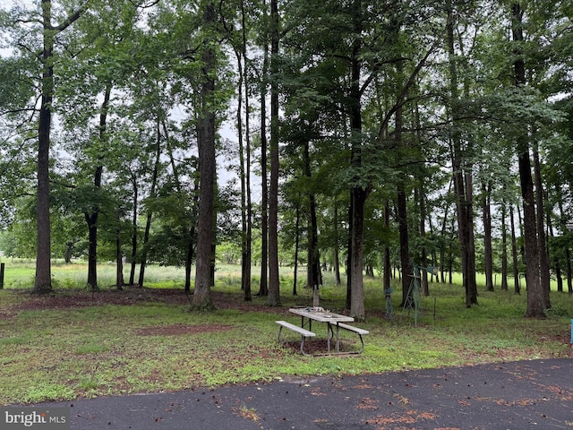 81 Hollering Hill Rd, Camden Wyoming, DE 19934 - view of community