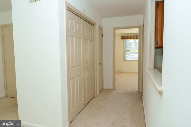 355 Norris Hall Ln Unit 355, Jeffersonville, PA 19403 - corridor with light carpet and baseboards