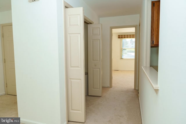 355 Norris Hall Ln Unit 355, Jeffersonville, PA 19403 - hall with light carpet and baseboards