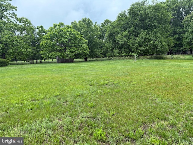 4293 Willow Grove Rd, Camden Wyoming, DE 19934 - view of green lawn