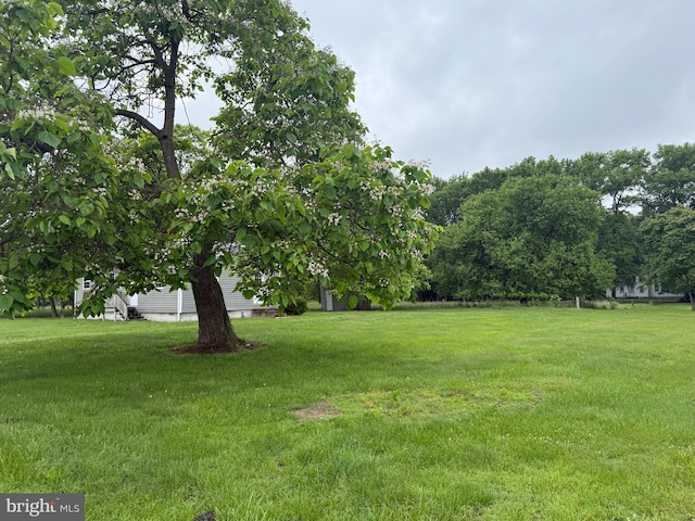 4293 Willow Grove Rd, Camden Wyoming, DE 19934 - view of grassy yard