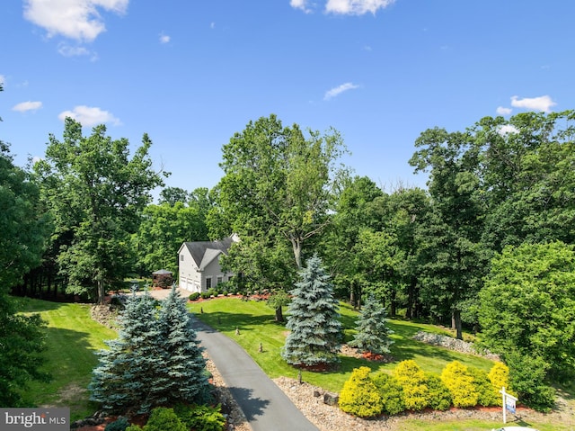 34905 Gidney Ct, Round Hill, VA 20141 - view of home's community with a lawn