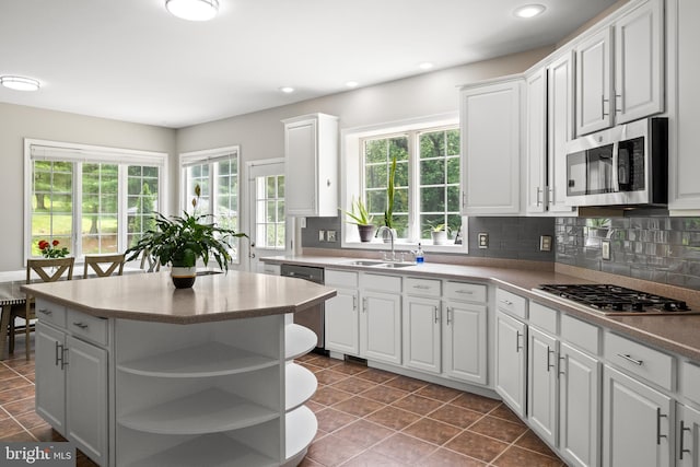 34905 Gidney Ct, Round Hill, VA 20141 - kitchen featuring appliances with stainless steel finishes, open shelves, a sink, white cabinets, and decorative backsplash