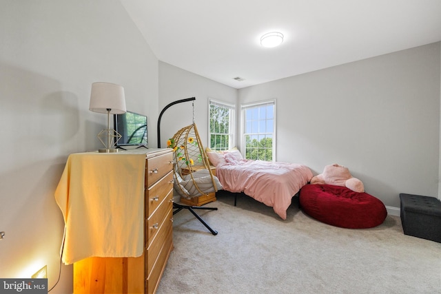 34905 Gidney Ct, Round Hill, VA 20141 - bedroom with light carpet