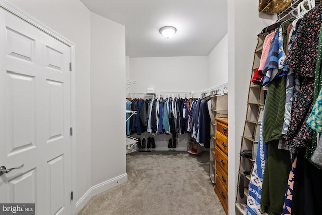 34905 Gidney Ct, Round Hill, VA 20141 - spacious closet featuring carpet flooring