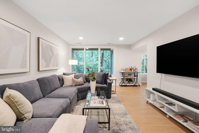 5041 7th Rd S Unit 102, Arlington, VA 22204 - living area with light wood-style flooring and recessed lighting