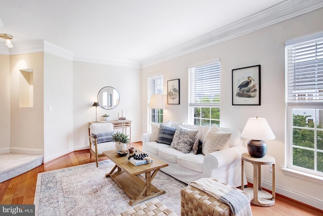 2505 Basin View Ln, Woodbridge, VA 22191 - living area with ornamental molding, wood finished floors, and baseboards
