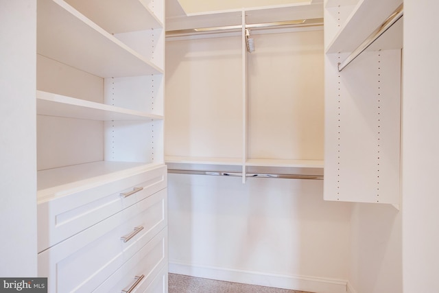 2505 Basin View Ln, Woodbridge, VA 22191 - view of spacious closet