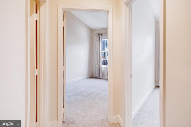 2505 Basin View Ln, Woodbridge, VA 22191 - hallway with carpet flooring and baseboards