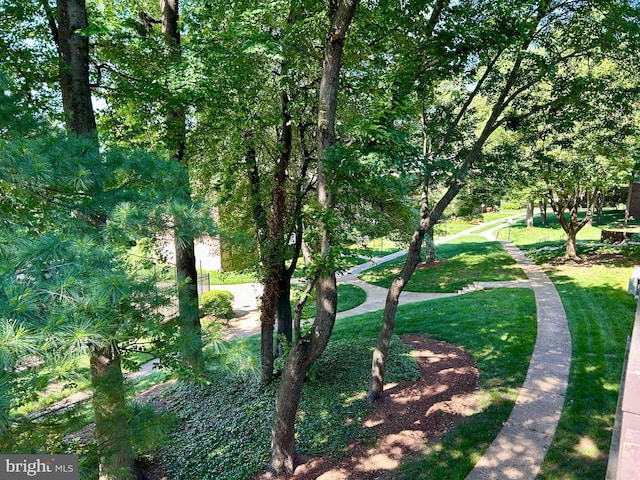 9717 Kings Crown Ct Unit 201, Fairfax, VA 22031 - view of property's community featuring a yard