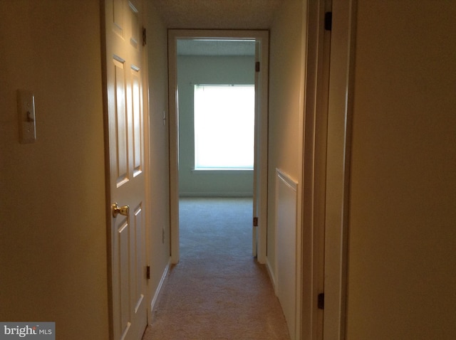 406 Deer Run, Norristown, PA 19403 - hallway with light carpet
