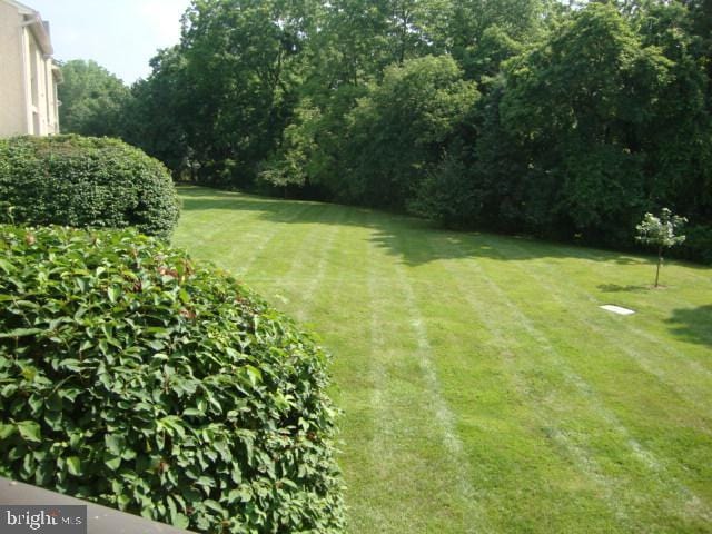 406 Deer Run, Norristown, PA 19403 - view of grassy yard